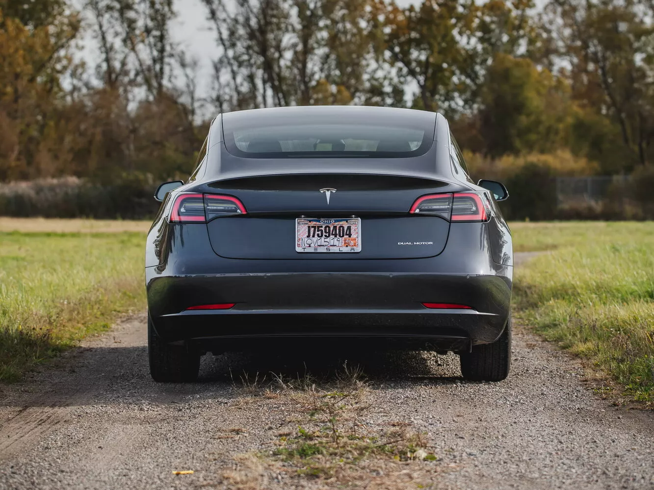 Фото сзади Tesla Model 3  I 2017 -  2024 
                                            