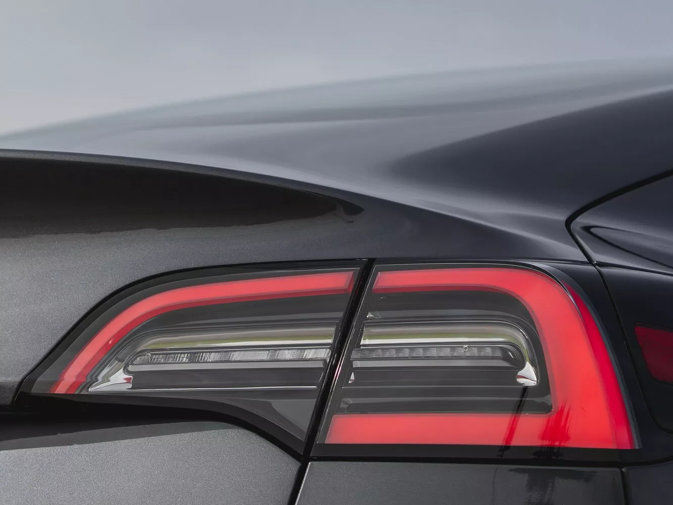 Фото задних фонорей Tesla Model 3  I 2017 -  2024 
                                            