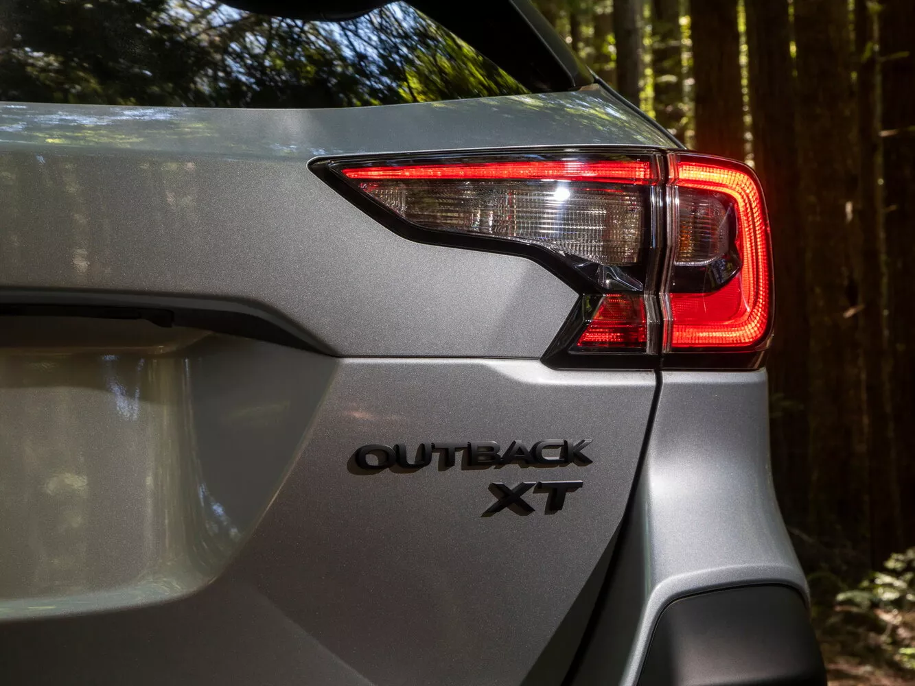 Фото задних фонорей Subaru Outback  VI 2019 -  2024 
                                            